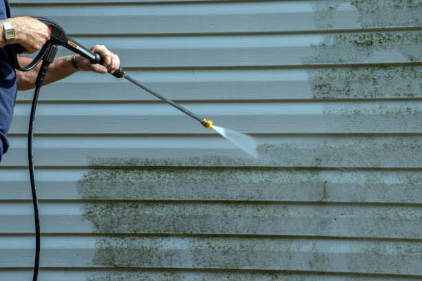 Best Gutter Cleaning and Brightening in Port St John, FL